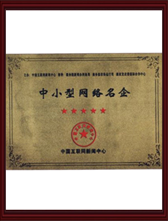 中小型网络名企