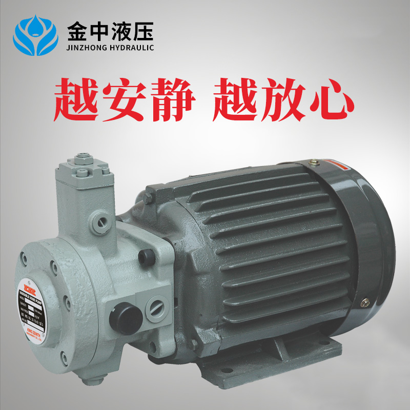 VDP-30+2HP-4P油泵配马达